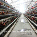 Automatic Chicken Cage Farm for Layers with SGS Cetification